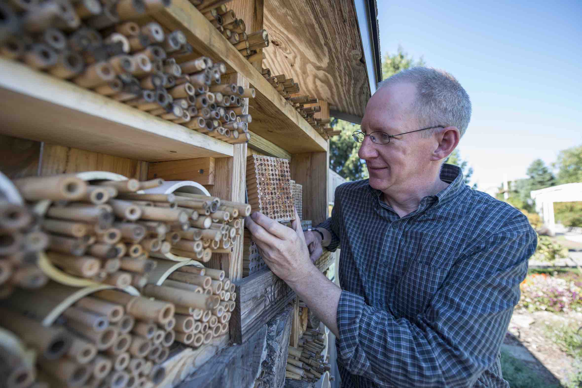 IGT Spring 2017 Issue