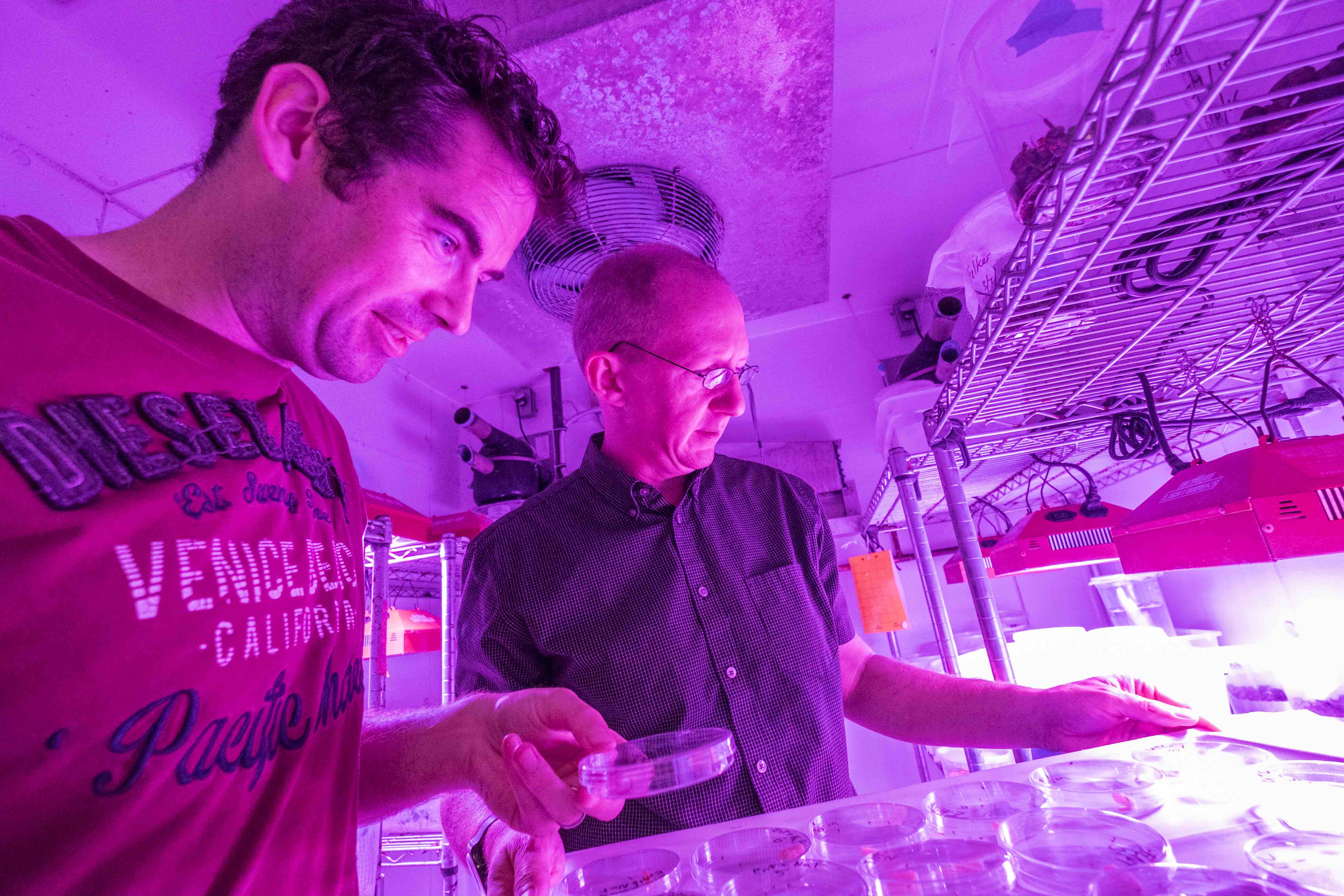 IGT Spring 2017 Issue