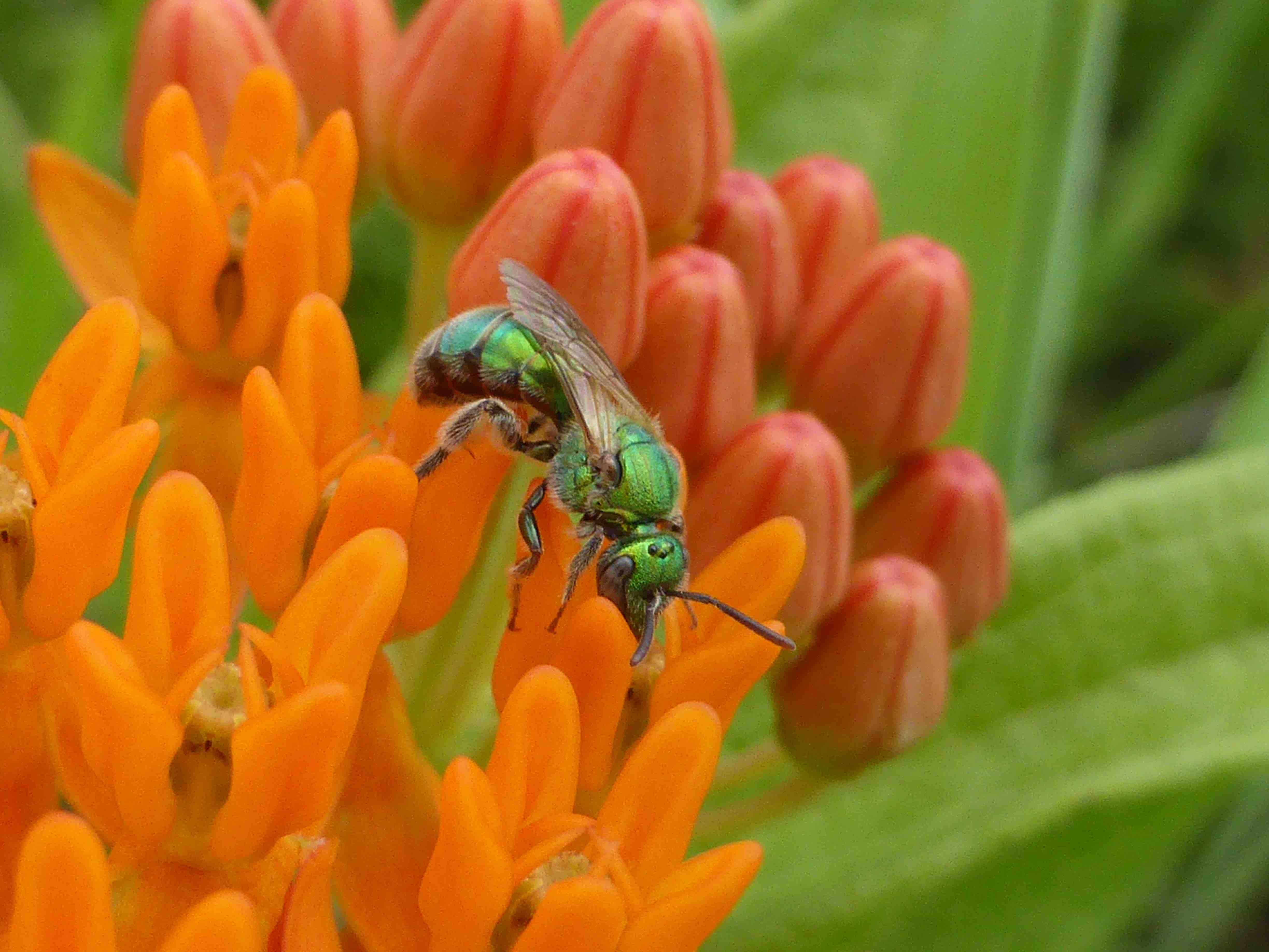 IGT Spring 2017 Issue