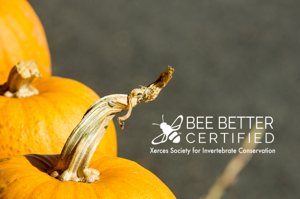 Bee Better Webinar 2017