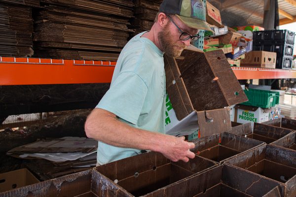 sorting produce