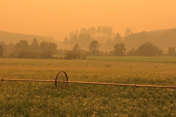 smoky sky farm field