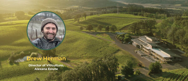 Oregon Tilth Blog: Looking Ahead at the Future of Organic Wine (Part 2)