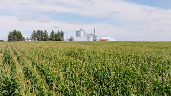 Growing Organic with Oregon Tilth: Stories of Connection